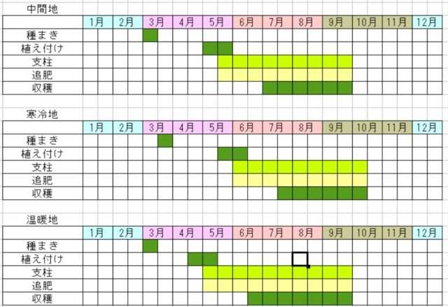 ピーマンの栽培カレンダー