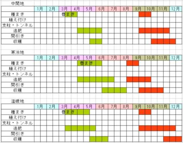 カブの栽培カレンダー