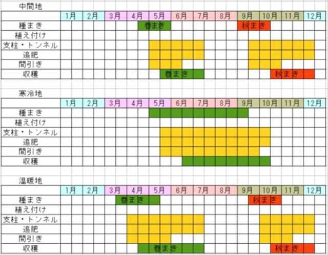 チンゲン菜栽培カレンダー