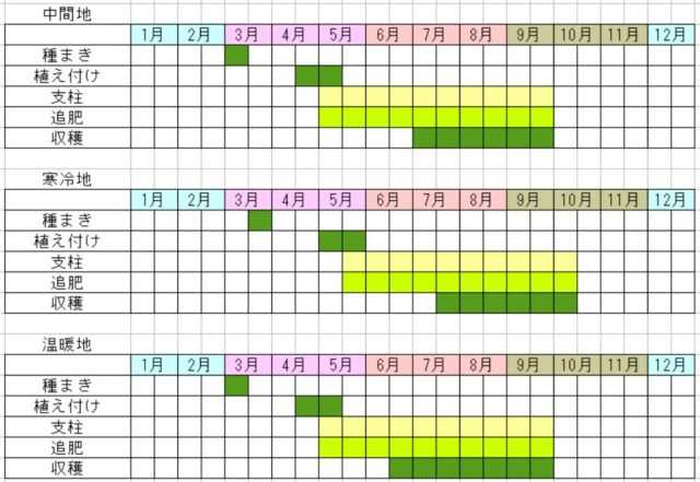 唐辛子の栽培カレンダー図
