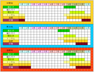三浦大根の栽培カレンダー