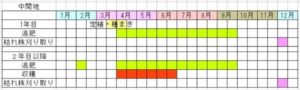 アスパラガスの栽培カレンダー