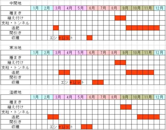 ラッキョウの栽培カレンダー