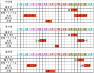 ニンニクの栽培カレンダー