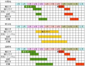 サンチゅの栽培カレンダー